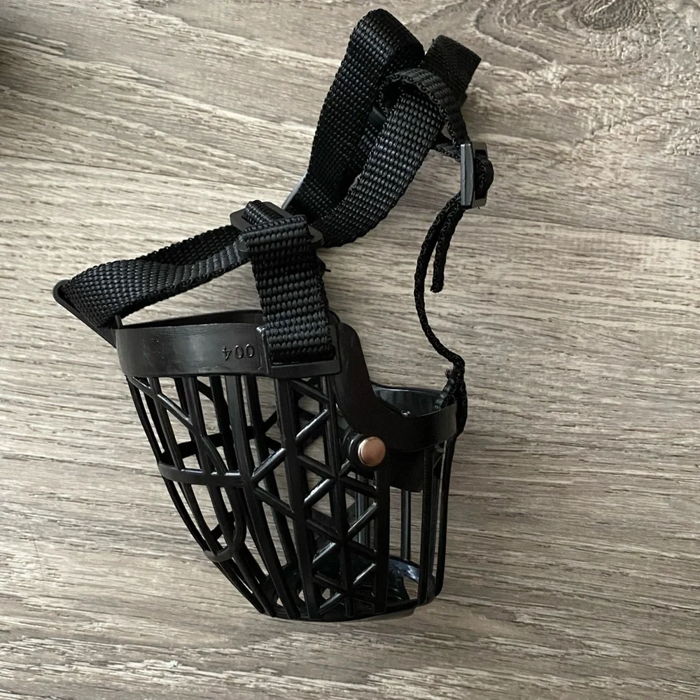 Small Dog Black Muzzle